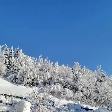 In Hohe Tauern With Mountain Views 아파트