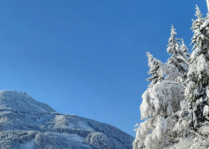 Διαμέρισμα In Hohe Tauern With Mountain Views