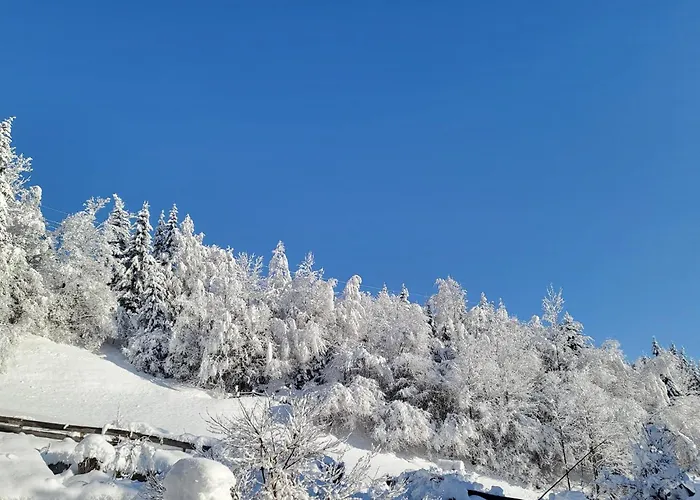 In Hohe Tauern With Mountain Views Διαμέρισμα