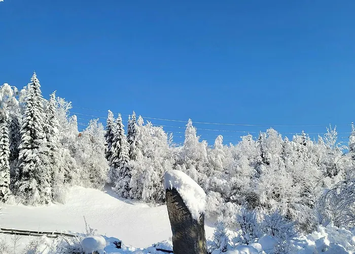 In Hohe Tauern With Mountain Views Διαμέρισμα Neukirchen am Großvenediger